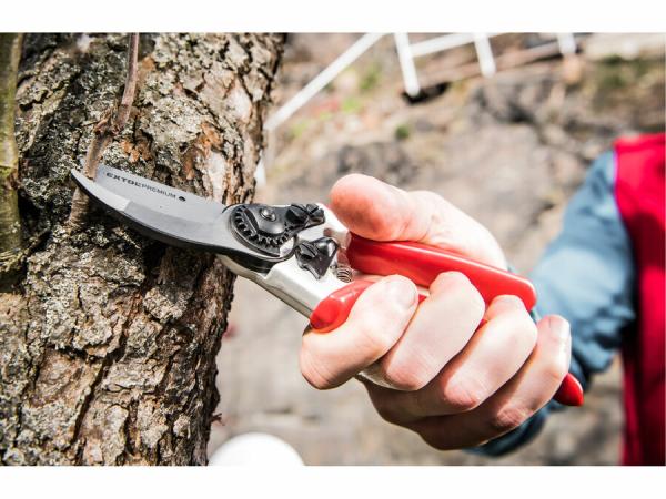 EXTOL PREMIUM Nožnice záhradnícke 215mm 8872102 2