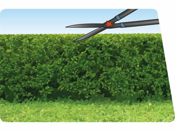 EXTOL PREMIUM Nožnice na živý plot a kríky 630mm 8873711 1