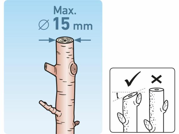 EXTOL PREMIUM Nožnice záhradnícke 180mm 8872107 1