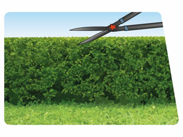 EXTOL PREMIUM Nožnice na živý plot a kríky teleskopické 690-890mm 8873716 2